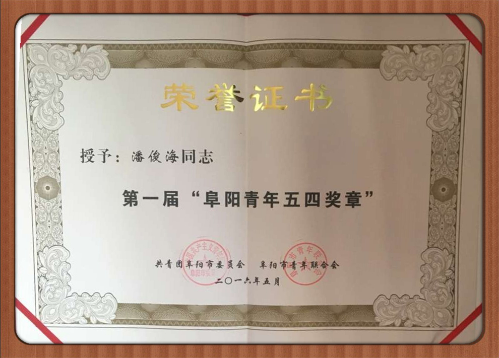 阜阳青年五四奖章